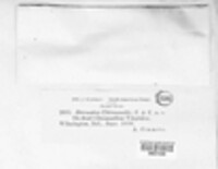 Image Associated With the Occurence
